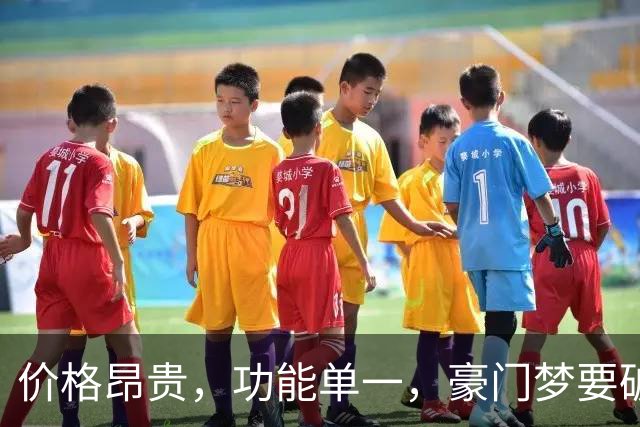 价格昂贵，功能单一，豪门梦要破碎，提前赶下一届世界杯？